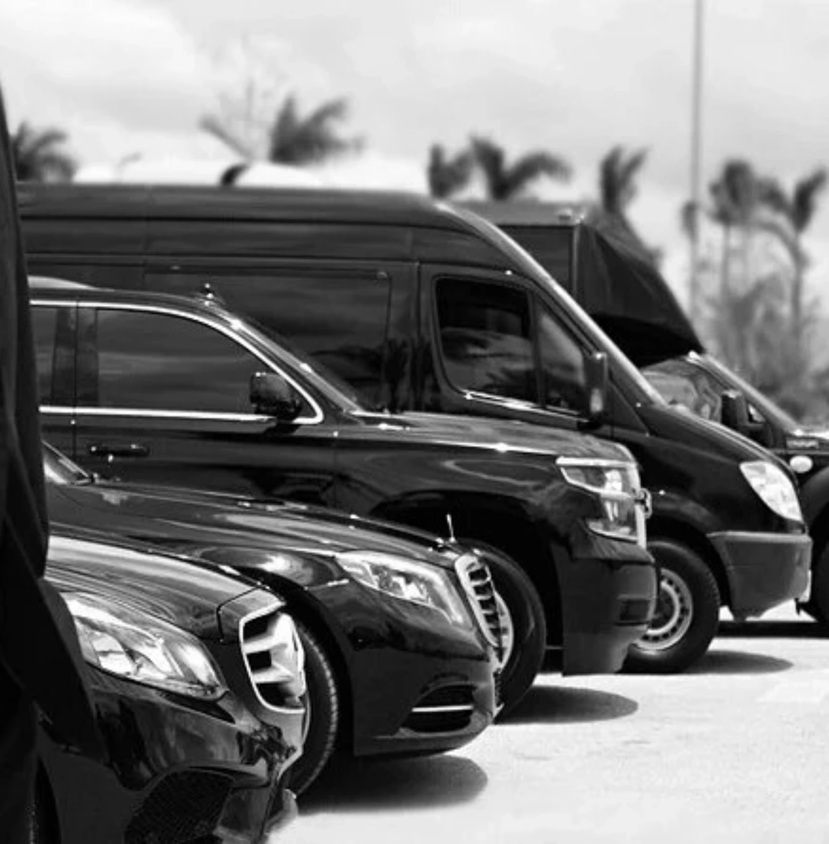 PoshTransport luxury vehicle fleet